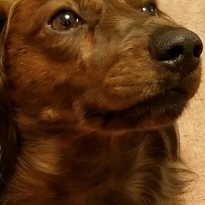 Meet your Posher, Brennan